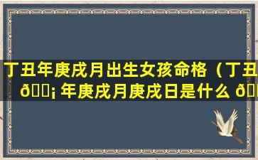 丁丑年庚戌月出生女孩命格（丁丑 🐡 年庚戌月庚戌日是什么 🐺 命格）